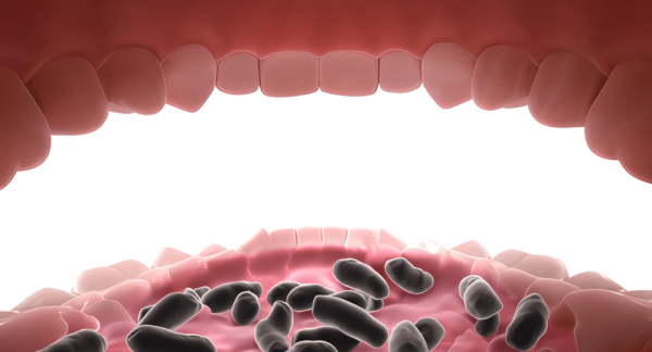 Bacterias in mouth