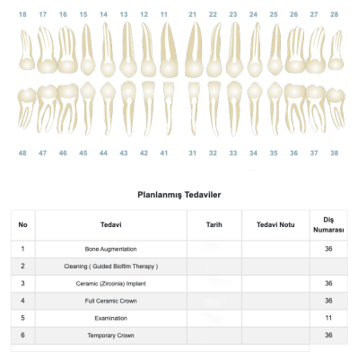 tedavi planı-treatment plan