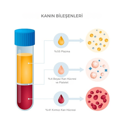 Kanın Bileşenleri